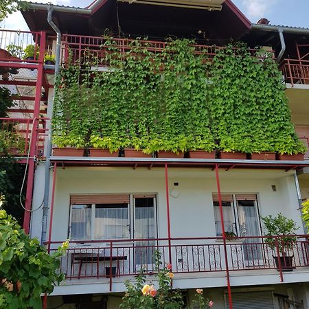 Apartmán Ljubljana'S Terrace Exteriér fotografie